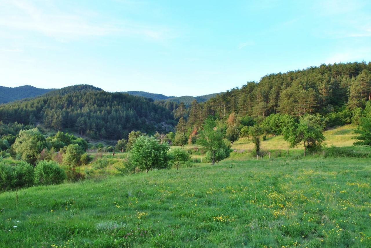 Хотел Планински Кът Dorkovo Εξωτερικό φωτογραφία